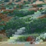 فرشي التراب profile icon