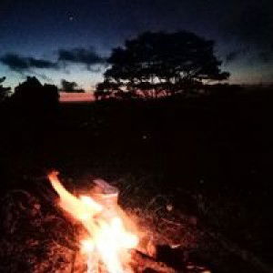 Safira Monica profile icon