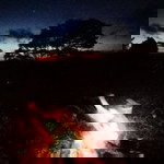 Safira Monica profile icon