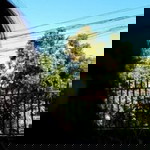 Fredelyn Ebg profile icon
