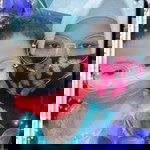 Nur Mala profile icon