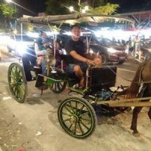 Arnie Pltu profile icon