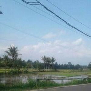 Pance Yuniarti profile icon