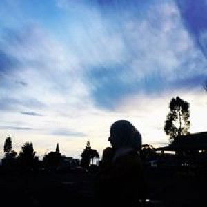 Nurkumala Sari profile icon