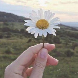 Yonlada B. profile icon