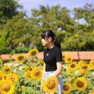 ไกด์ งิ profile icon