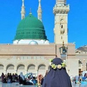 Amelia Fransiska profile icon