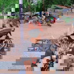 อลิชา profile icon