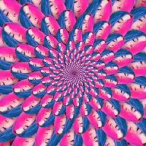 Kanchanaporn Thanakul profile icon