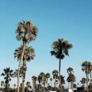 Duyen Nguyen profile icon