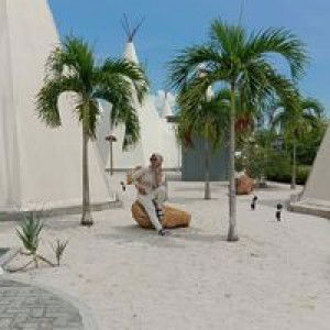 Dina Nasti profile icon