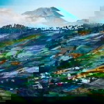 Wonk Djember profile icon