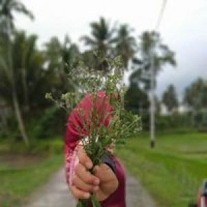 Uswatun Khasanah profile icon