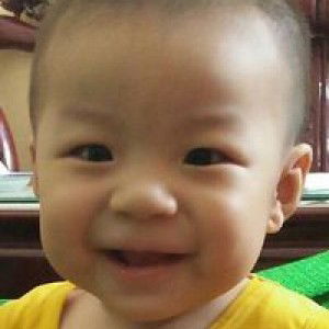 Phúc Lâm Đinh profile icon