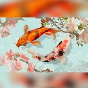 Cat Zara profile icon