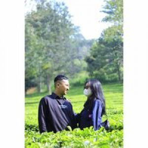 Anmlyni profile icon