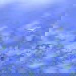 I's ice profile icon