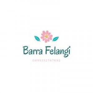 Barra Felangi profile icon