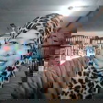 Nuril Ayunda profile icon