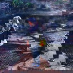 Yasirah Kizarali profile icon