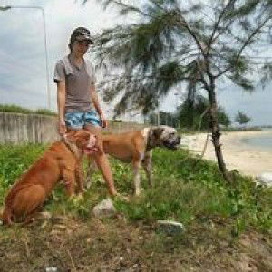 สุรมณ ปิยะสุข profile icon