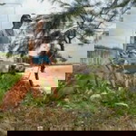 สุรมณ ปิยะสุข profile icon