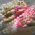 namita s profile icon