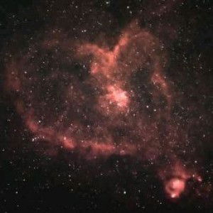 Saâdia Safraoui profile icon