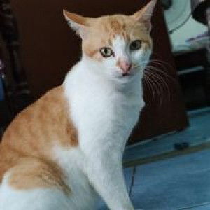 Marnie Mar profile icon