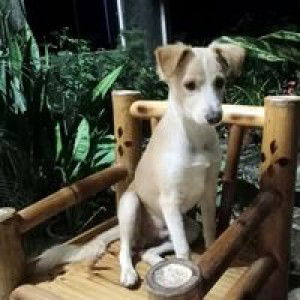 Bahian Erlinda profile icon