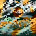 Nur Suhaida profile icon