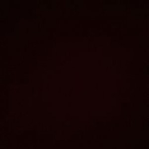 Sarah Maulida profile icon