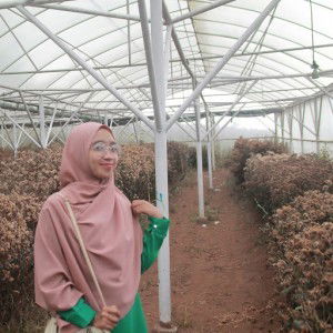 Rahmawati Amd kep profile icon