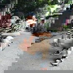 Arnel Brosas profile icon