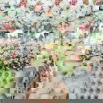 Shanti Lidyawati profile icon