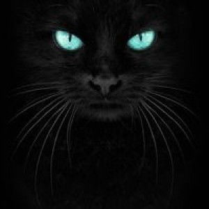 Chairiya Chairuya profile icon