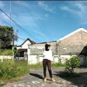 Nay Dinar profile icon