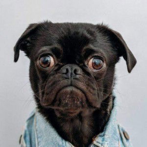 ทิพวรรณ เอี่ยมสอาด profile icon