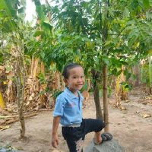 Niswatin Ainiyah profile icon