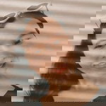 Nosso Sunicha profile icon