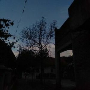 Cut Rika profile icon