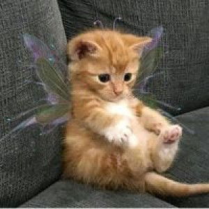 Nur Annisa Fitria profile icon