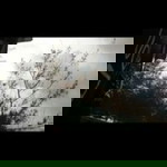 Tuti Tuti profile icon