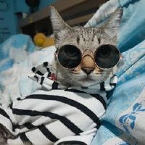 ChaYanan Sj profile icon