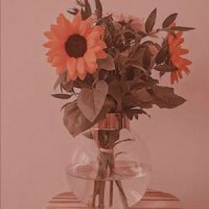 Anjas Elin Safitri profile icon