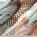 Yani Yan profile icon