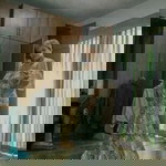 Noon Ratchanok Kenneth Oti profile icon