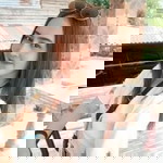 Narissra Anda profile icon
