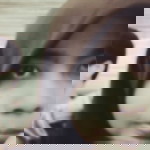 Luthfiyana profile icon