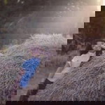 Tanya Istulbul profile icon